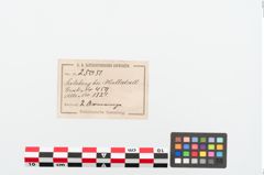 Etiketten zu Bronzearmreif (NHMW-PRAE-025051)